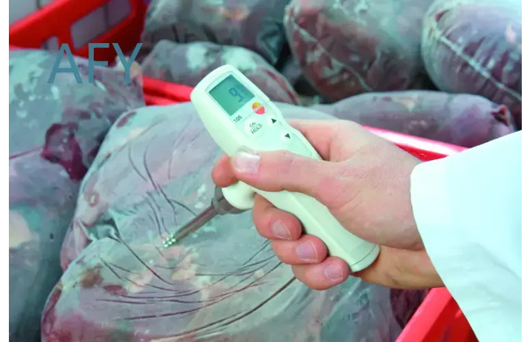 Termometro testo 105 per alime - Commercial Kitchen Inspection recensione e prezzo