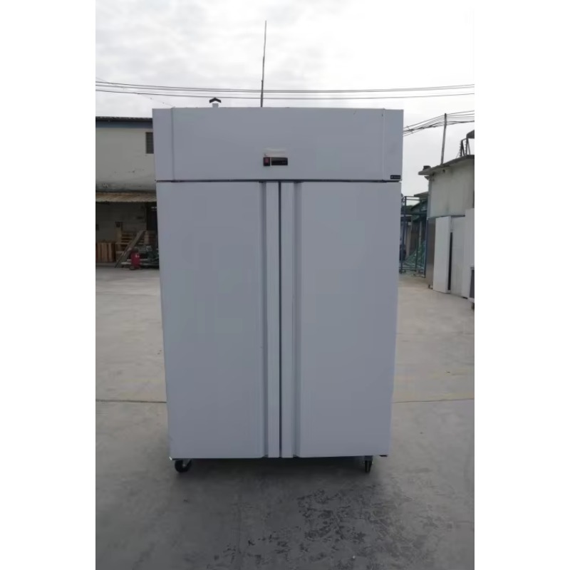 Frigorifero Commerciale per Ri - Commercial Kitchen Kitchen recensione e prezzo
