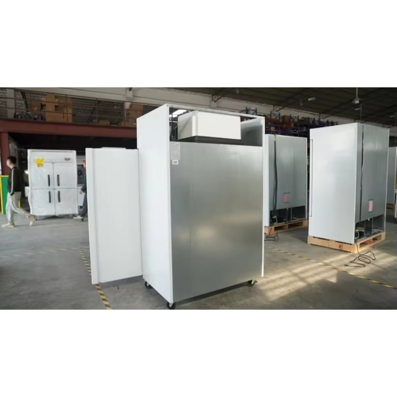 Frigorifero Commerciale per Ri - Commercial Kitchen Kitchen recensione e prezzo